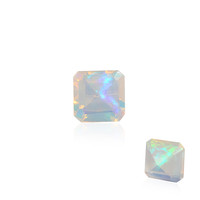  Opale Welo (gemme et boîte de collection)