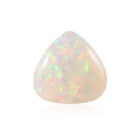  Opale Welo 14,25 ct (gemme et boîte de collection)