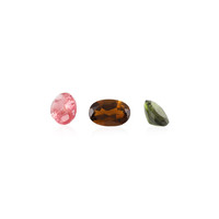  Tourmaline (gemme et boîte de collection)