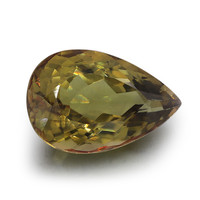  Tourmaline olive (gemme et boîte de collection)