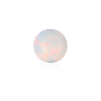  Opale Welo 1,532 ct (gemme et boîte de collection)