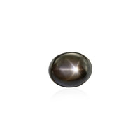  Saphir étoilé noir 3,825 ct (gemme et boîte de collection)