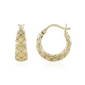 Boucles d'oreilles en or (Ornaments by de Melo)