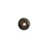  Saphir étoilé noir 2,925 ct (gemme et boîte de collection)