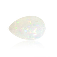  Opale Welo AAA 21,945 ct (gemme et boîte de collection)