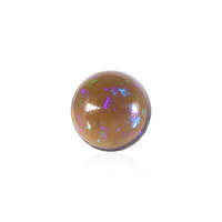  Opale Mezezo (gemme et boîte de collection)
