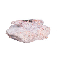  Opale de feu matrice du Mexique 2,770 ct (gemme et boîte de collection)