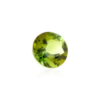  Tourmaline vert menthe (gemme et boîte de collection)