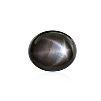  Saphir étoilé noir 16,605 ct (gemme et boîte de collection)