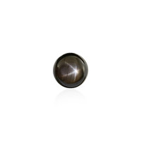  Saphir étoilé noir 1,71 ct (gemme et boîte de collection)