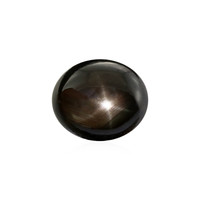  Saphir étoilé noir 7,155 ct (gemme et boîte de collection)