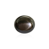  Saphir étoilé noir 13,32 ct (gemme et boîte de collection)