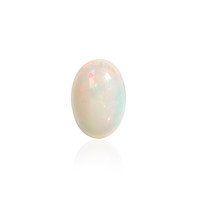  Opale Welo (gemme et boîte de collection)