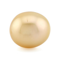  Perle dorée des mers du Sud Kabira (TPC) (gemme et boîte de collection)