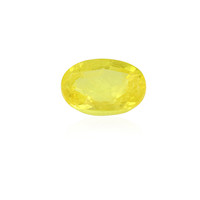  Saphir jaune (gemme et boîte de collection)