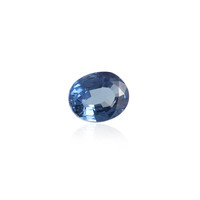  Saphir de Ceylan 0,333 ct (gemme et boîte de collection)