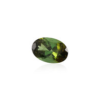  Tourmaline verte (gemme et boîte de collection)