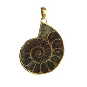 Pendentif en argent et Ammonite