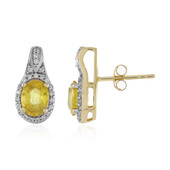 Boucles d'oreilles en or et Saphir jaune (Adela Gold)