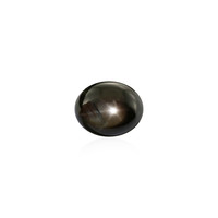  Saphir étoilé noir 2,475 ct (gemme et boîte de collection)