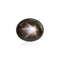  Saphir étoilé noir 11,655 ct (gemme et boîte de collection)