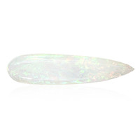  Opale Welo AAA (gemme et boîte de collection)