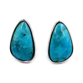 Boucles d'oreilles en argent et Turquoise bleue de Mohavie (Faszination Türkis)