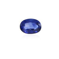  Saphir bleu (gemme et boîte de collection)