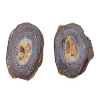  Opale noisette de Yowah (gemme et boîte de collection)