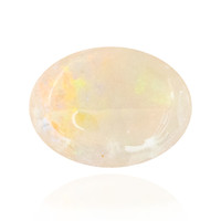  Opale d'Australie (gemme et boîte de collection)