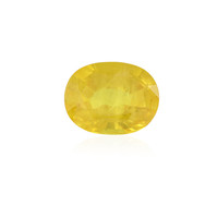  Saphir jaune 1,749 ct (gemme et boîte de collection)
