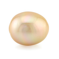 Perle dorée des mers du Sud Kabira (TPC) (gemme et boîte de collection)