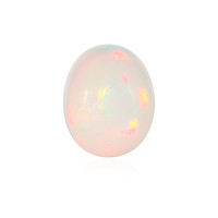  Opale Welo 13,006 ct (gemme et boîte de collection)