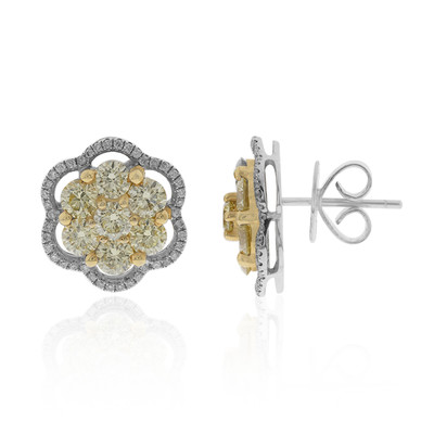 Boucles d'oreilles en or et Diamant SI2 jaune (CIRARI)