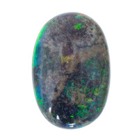  Opale matrice d'Andamooka (gemme et boîte de collection)