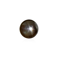  Saphir étoilé noir 0,495 ct (gemme et boîte de collection)