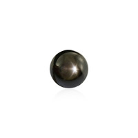  Saphir étoilé noir 4,815 ct (gemme et boîte de collection)