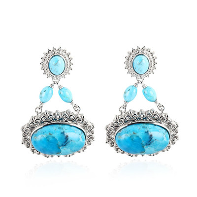 Boucles d'oreilles en argent et Turquoise bleue de Mohavie (Dallas Prince Designs)