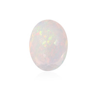  Opale Welo 3,288 ct (gemme et boîte de collection)