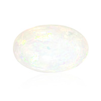  Opale Welo AAA 26,078 ct (gemme et boîte de collection)