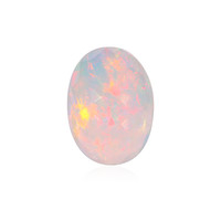  Opale Welo 4,51 ct (gemme et boîte de collection)