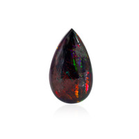  Opale Mezezo 29,688 ct (gemme et boîte de collection)