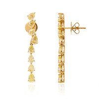 Boucles d'oreilles en or et Diamant jaune SI1 (de Melo)