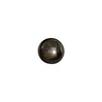  Saphir étoilé noir 0,9 ct (gemme et boîte de collection)