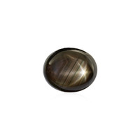  Saphir étoilé noir 7,695 ct (gemme et boîte de collection)