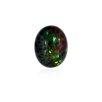 Opale Mezezo 9,215 ct (gemme et boîte de collection)