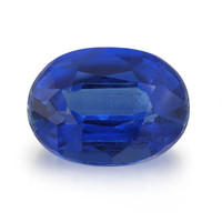  Kyanite (gemme et boîte de collection)