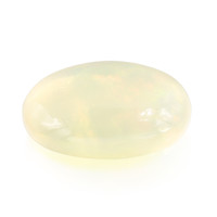  Opale d'Australie (gemme et boîte de collection)