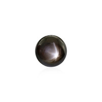  Saphir étoilé noir 4,5 ct (gemme et boîte de collection)