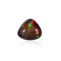  Opale Mezezo 22,278 ct (gemme et boîte de collection)